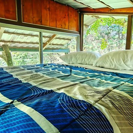 Cabana Treehouse Mountain View San Isidro  外观 照片