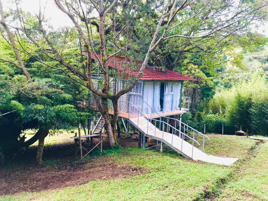 Cabana Treehouse Mountain View San Isidro  外观 照片