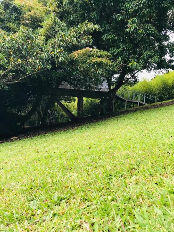 Cabana Treehouse Mountain View San Isidro  外观 照片