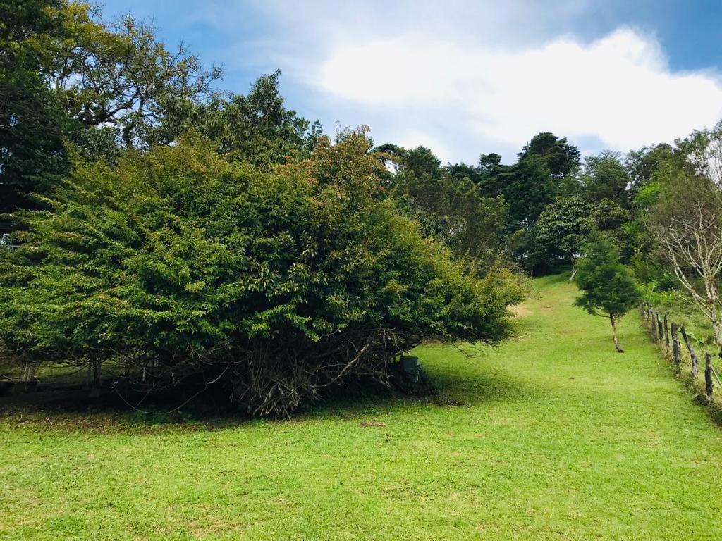 Cabana Treehouse Mountain View San Isidro  外观 照片