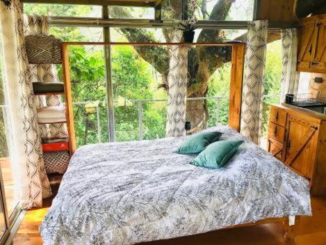 Cabana Treehouse Mountain View San Isidro  外观 照片