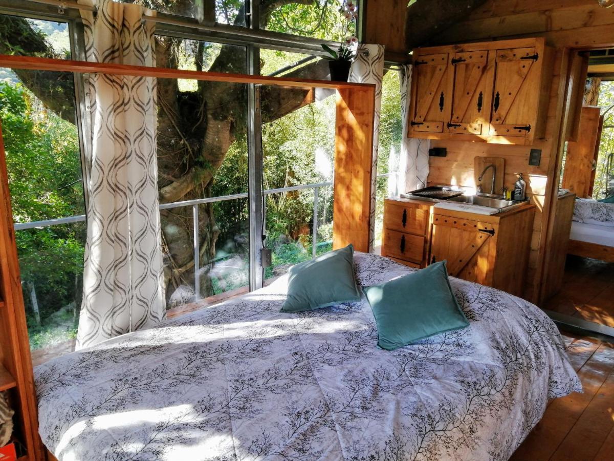 Cabana Treehouse Mountain View San Isidro  外观 照片