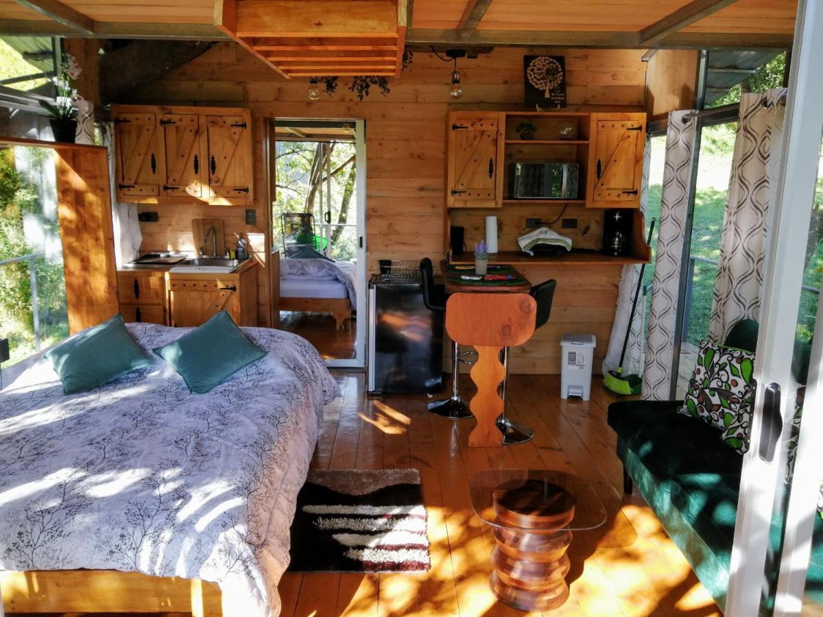 Cabana Treehouse Mountain View San Isidro  外观 照片