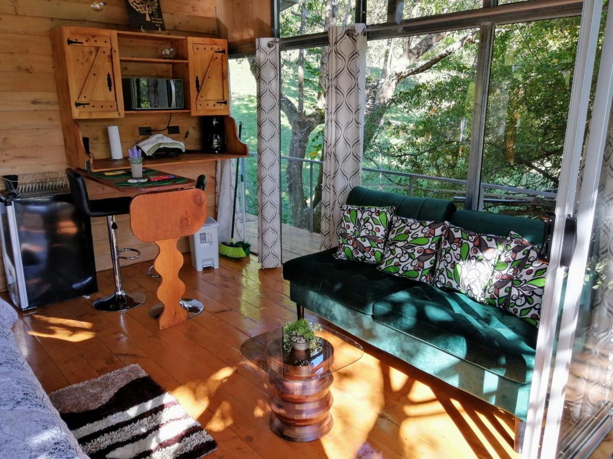 Cabana Treehouse Mountain View San Isidro  外观 照片